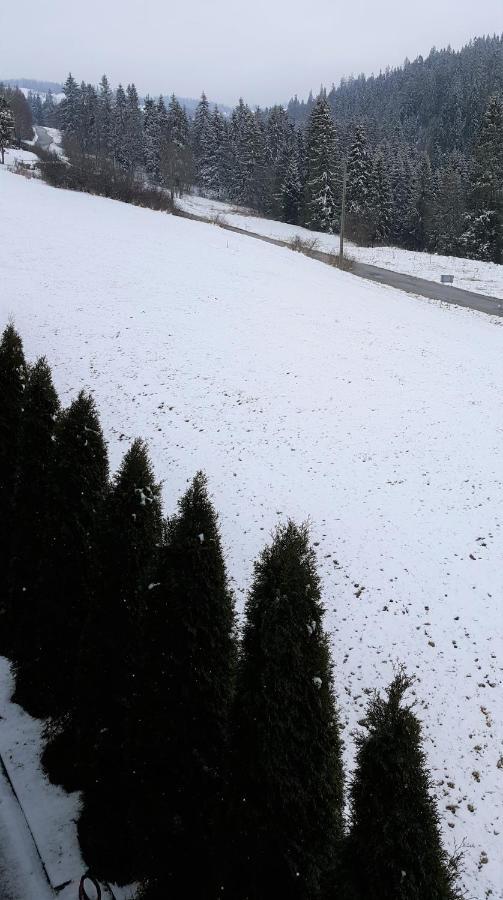 Villa Jagodovo Biały Dunajec Εξωτερικό φωτογραφία