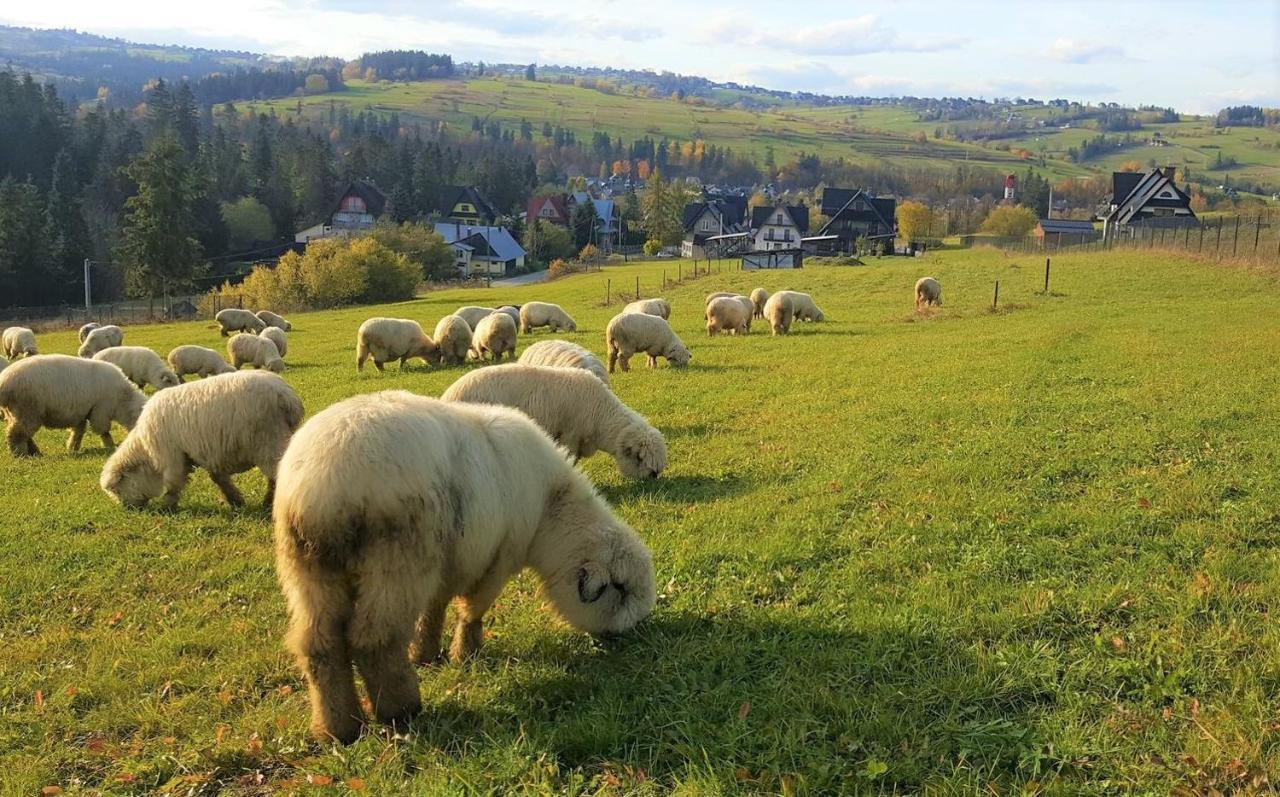 Villa Jagodovo Biały Dunajec Εξωτερικό φωτογραφία