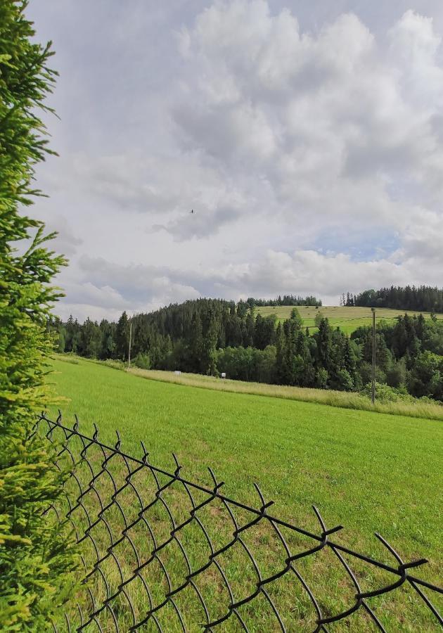 Villa Jagodovo Biały Dunajec Εξωτερικό φωτογραφία